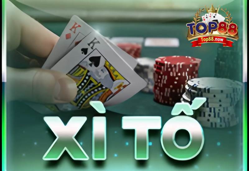 Xì tố có nguồn gốc từ Châu Âu, nổi tiếng nhờ tính trí tuệ&nbsp;